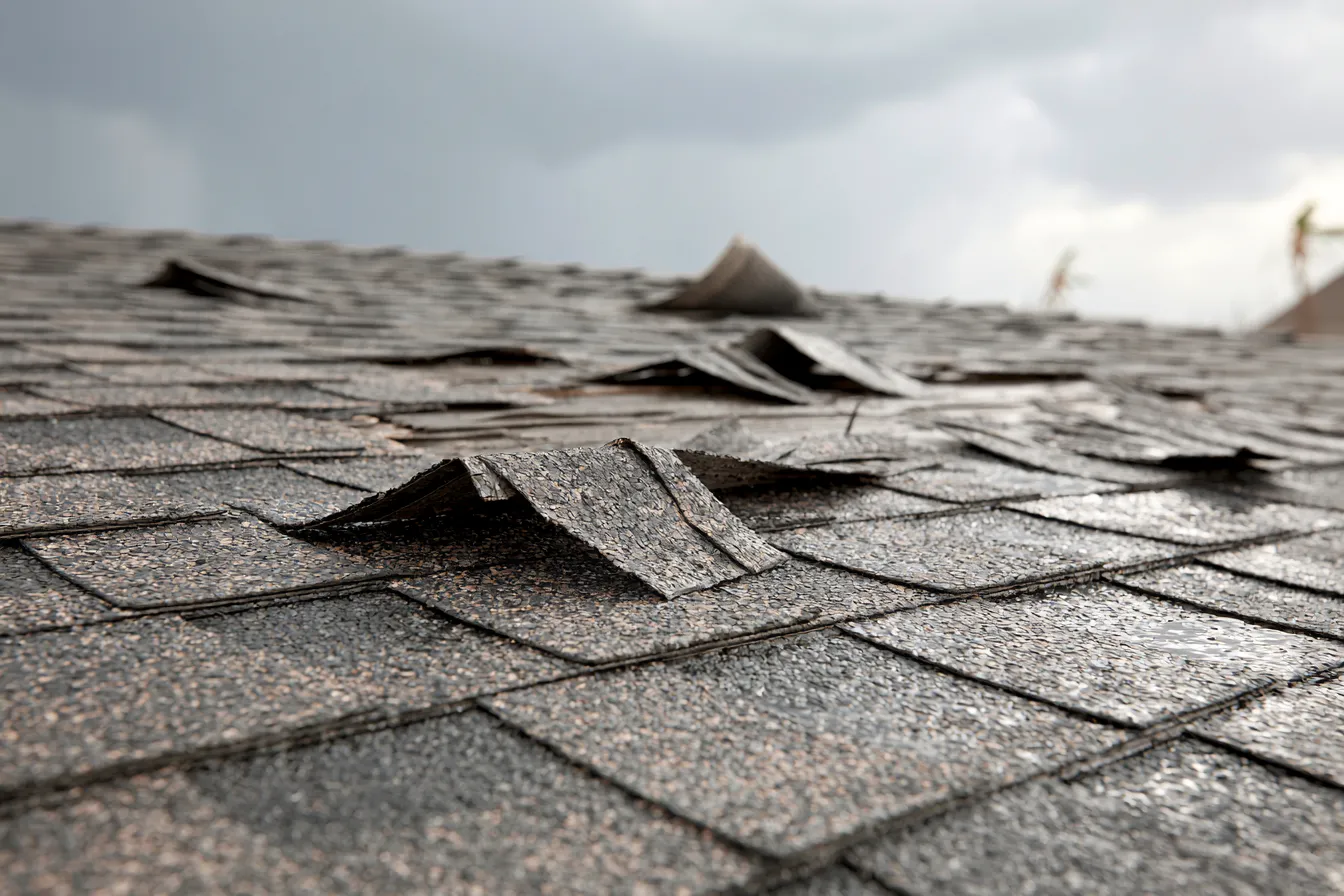 Storm-lifted shingle tabs showing crease lines